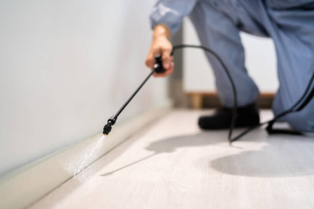 Licensed Pest Control service in Morrisville, VT - Show Me Pest Control