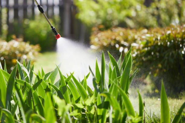 Tamper-Resistant Bait Stations for Rodents in Morrisville