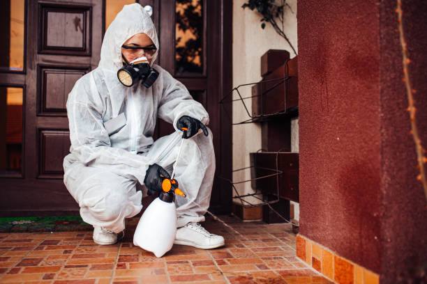 Attic and Crawl Space Rodent Treatment in Morrisville