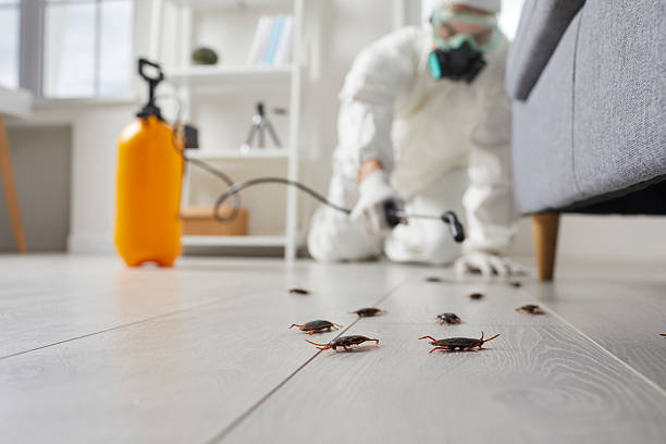 Commercial Rodent Management in Morrisville